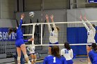 Women’s VB intersquad  Women’s Volleyball inter-squad match. : Women’s Volleyball, VB, inter squad, intersquad